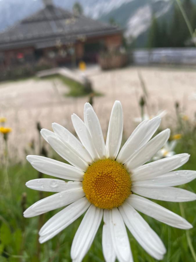 Baita Deona Cibiana Eksteriør bilde
